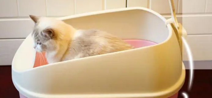猫为什么会用猫砂盆? 猫为什么会用猫砂盆?