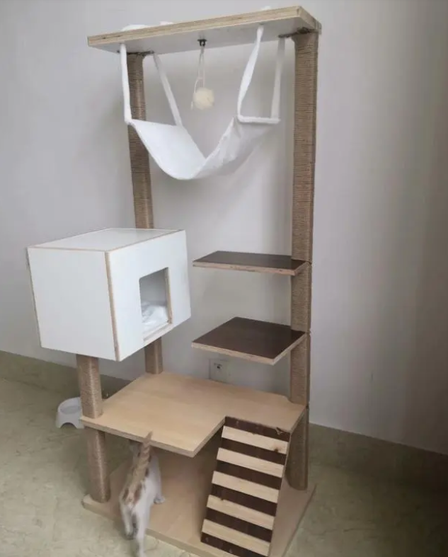 猫爬架我是这样做的 猫爬架我是这样做的