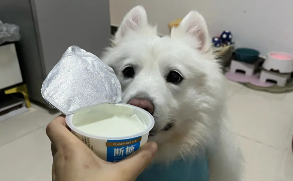 狗狗一天喝多少酸奶合适
