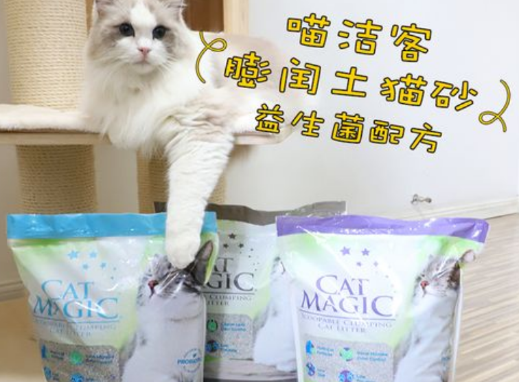 猫砂买什么样的比较好