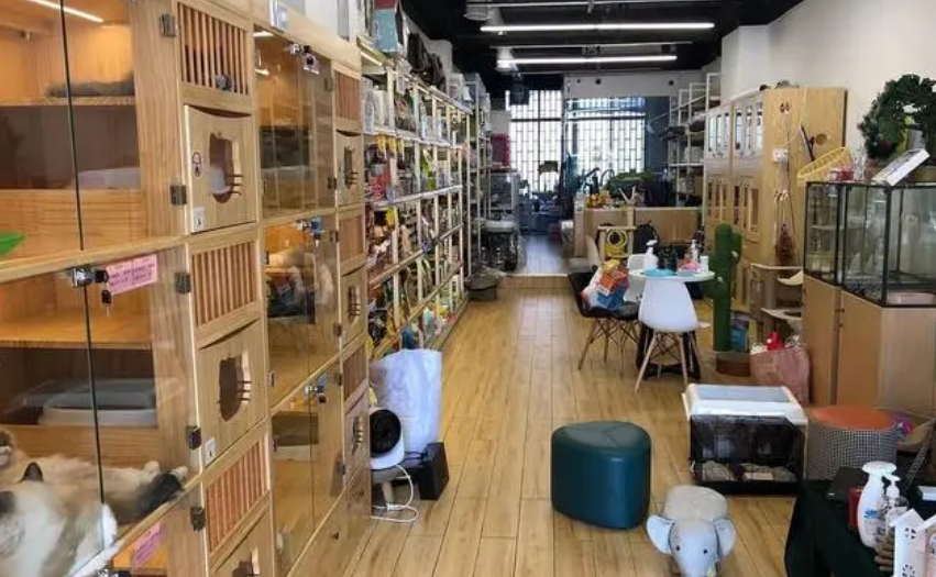 宠物店有卖狗粮羊奶粉的没 宠物店有卖狗粮羊奶粉的没