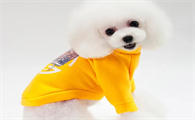 宠物衣服有那些品牌