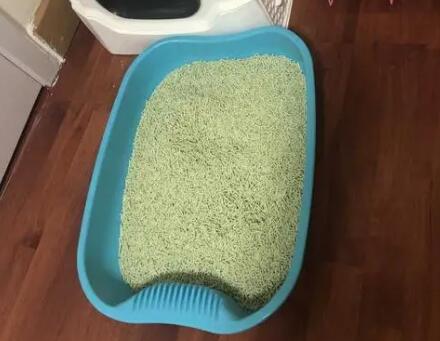 猫砂一般放哪里