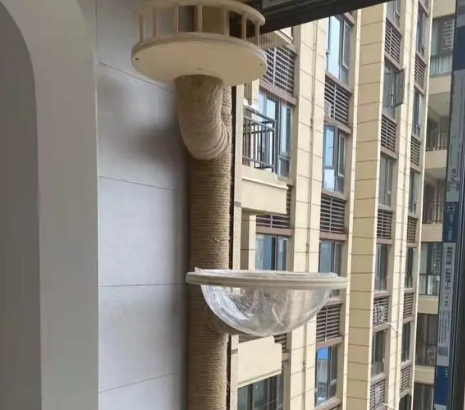 如何做猫的玩具 如何做猫的玩具
