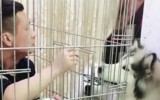 为了防止被狗狗抢吃的，主人无奈做出这举动，看完笑喷啦！