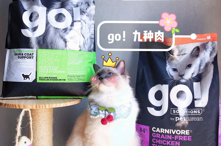 哪些进口牌子猫粮比较好 哪些进口牌子猫粮比较好