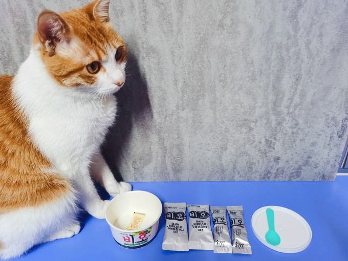 宠物猫能喝酸奶吗