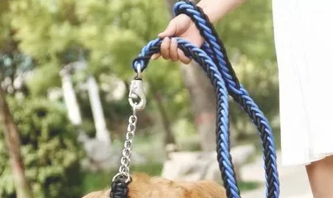 狗狗伸缩牵引绳怎么修