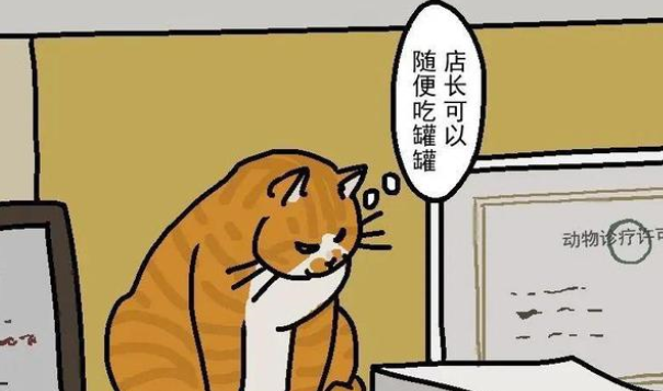 怎样挑选一家靠谱的宠物医院? 怎样挑选一家靠谱的宠物医院?