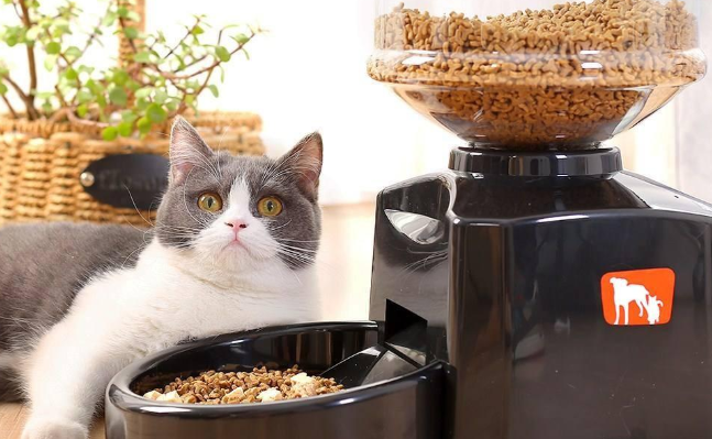 号称解放铲屎官双手的猫咪自动喂食器，到底是不是智商税？