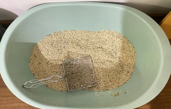 猫砂多少钱一袋 猫砂多少钱一袋