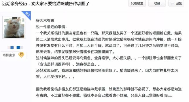 给猫咪狗狗脖子上佩戴项圈,到底是爱还是害? 给猫咪狗狗脖子上佩戴项圈,到底是爱还是害?