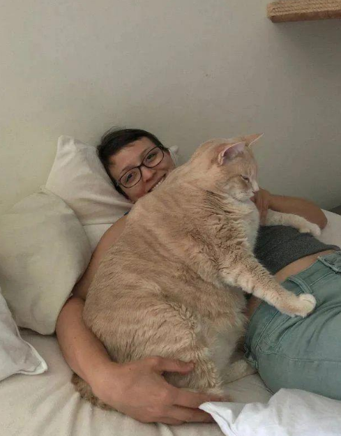 小橘猫原本只是晒太阳,结果搭顺风车上了一天班,从此喵生反转! 小橘猫原本只是晒太阳,结果搭顺风车上了一天班,从此喵生反转!