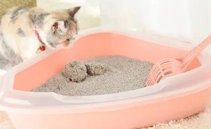 换猫砂要旧全部倒掉