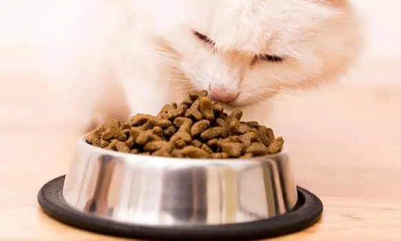 60g猫粮有多少粒