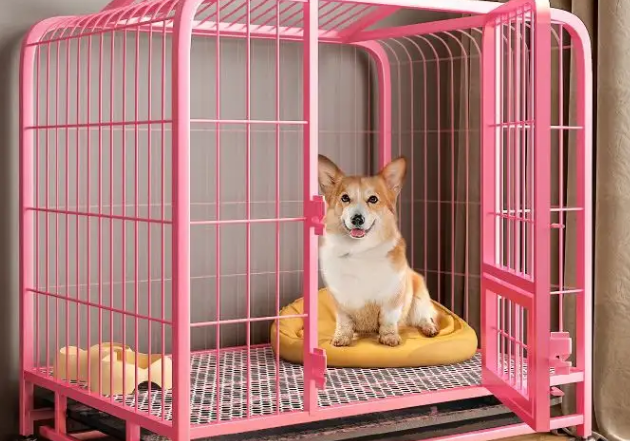 狗睡笼子好还是狗窝好