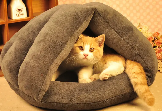 怎样给猫做窝
