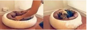 轮胎做狗窝怎么做