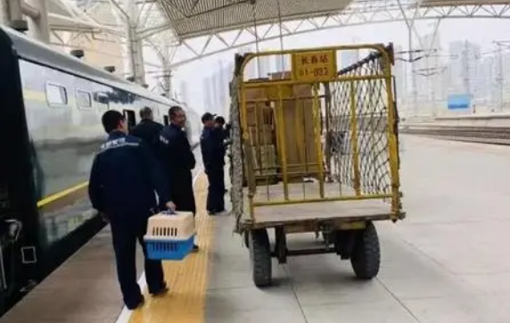 宠物托运有几种方式呢?优缺点分别是什么? 宠物托运有几种方式呢?优缺点分别是什么?