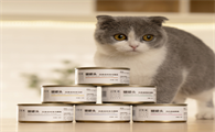 猫咪一天几个罐头