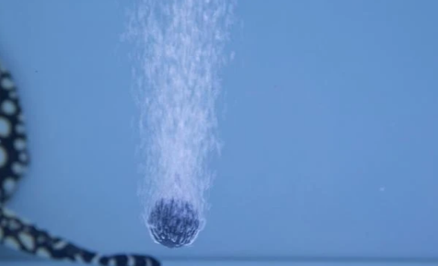 养鱼需要增氧泵吗？来看看氧气泵的常识和经验