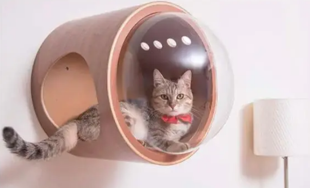 跟风买的猫包,却在不知不觉间要了你家猫咪的命 跟风买的猫包,却在不知不觉间要了你家猫咪的命