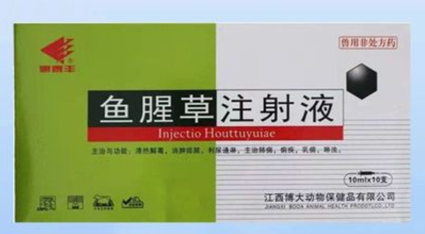 兽药知识｜鱼腥草注射液具体的作用和用法