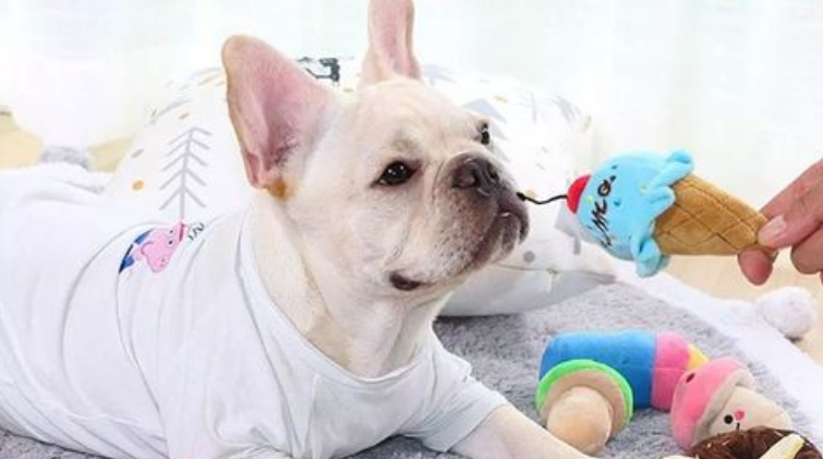 狗狗喜欢什么颜色的玩具 狗狗喜欢什么颜色的玩具