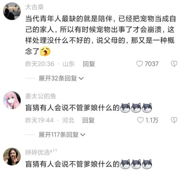 00后宠物殡葬师走红,网友:每一条生命都值得尊重 00后宠物殡葬师走红,网友:每一条生命都值得尊重