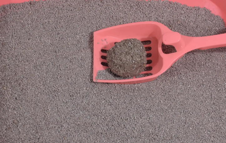 猫砂一般市面上多少钱