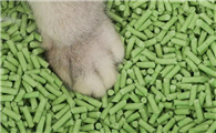猫砂怎么溶解 猫砂怎么溶解
