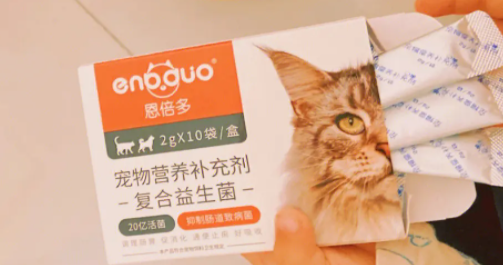 猫咪益生菌的作用