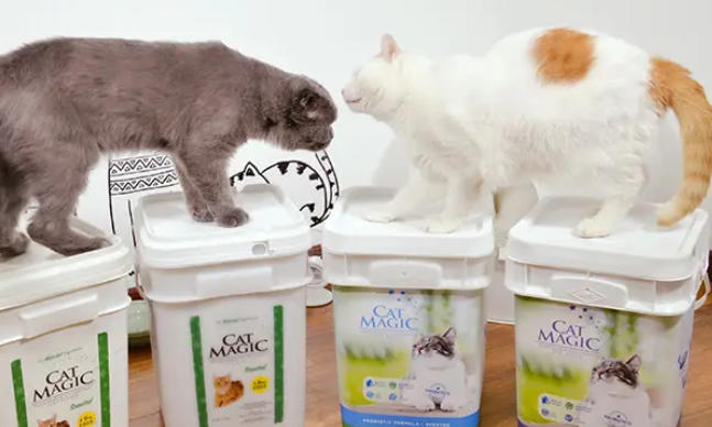 膨润土猫砂什么牌子好