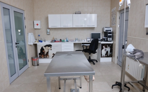 开宠物医院需要什么条件 开宠物医院需要什么条件