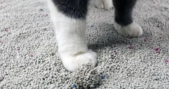 豆腐猫砂好不好用?得看这几点 豆腐猫砂好不好用?得看这几点