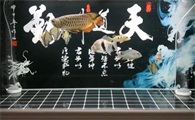 鱼缸水质问题的处理办法