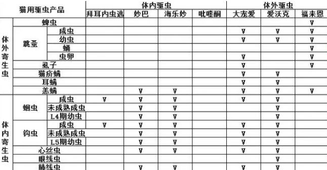 如何给猫驱虫?宠物驱虫怎么便宜? 如何给猫驱虫?宠物驱虫怎么便宜?