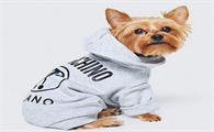 狗狗衣服怎么测量