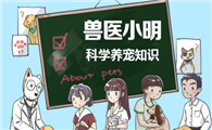 家中猫咪感冒了，能喂食人的感冒药？别让关心害了它
