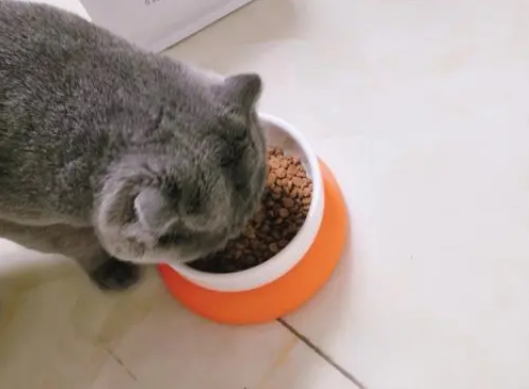 国产猫粮比较好的牌子