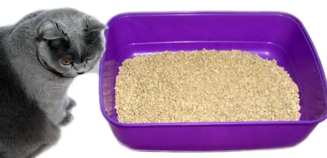 猫砂能混着用么