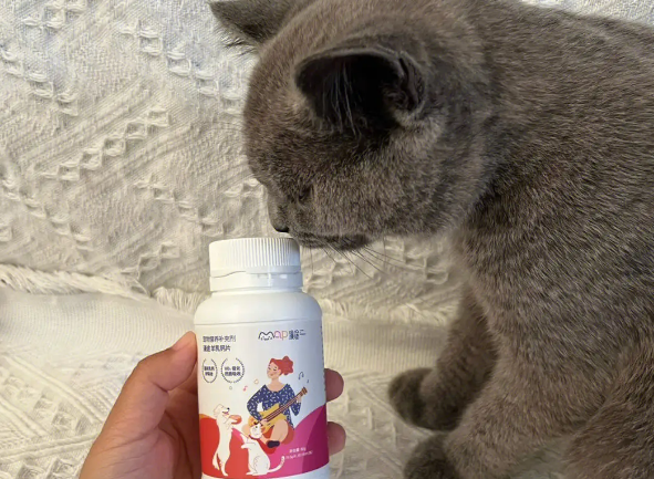 狗狗的钙片猫咪能吃吗