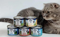 给猫吃猫罐头好吗