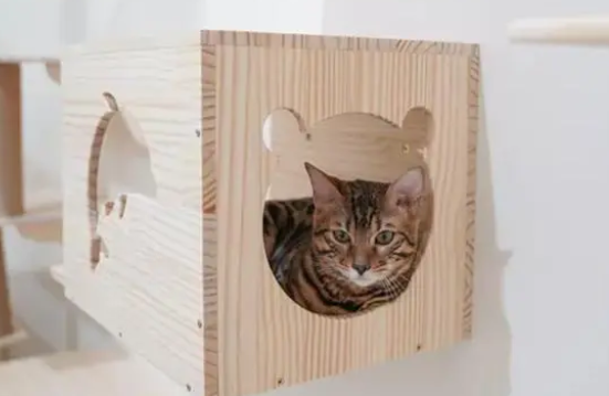 猫爬架几百到几千怎么选呀? 猫爬架几百到几千怎么选呀?