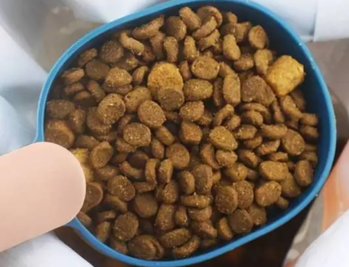 60克猫粮大概是多少