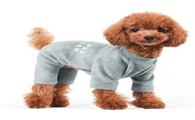 泰迪狗狗衣服的图片 泰迪狗狗衣服的图片