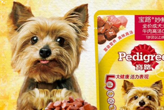 宠物零食品牌排行
