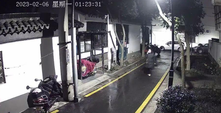 苏州偷猫曝光!当事人被偷猫贼拖行致脑震荡 苏州偷猫曝光!当事人被偷猫贼拖行致脑震荡