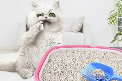 猫砂可以清洗吗