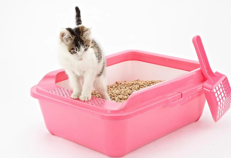 猫砂能放阳台吗 猫砂能放阳台吗